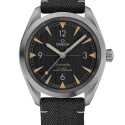 Omega Railmaster