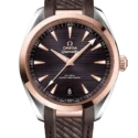 Omega, Seamaster Aqua Terra, 220.22.41.21.06.001, Frontansicht