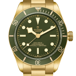 tudor-black-bay-58-m79018v-0006