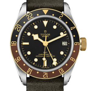 tudor-black-bay-steel-and-gold